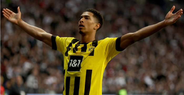 执行和球员 执行和球员