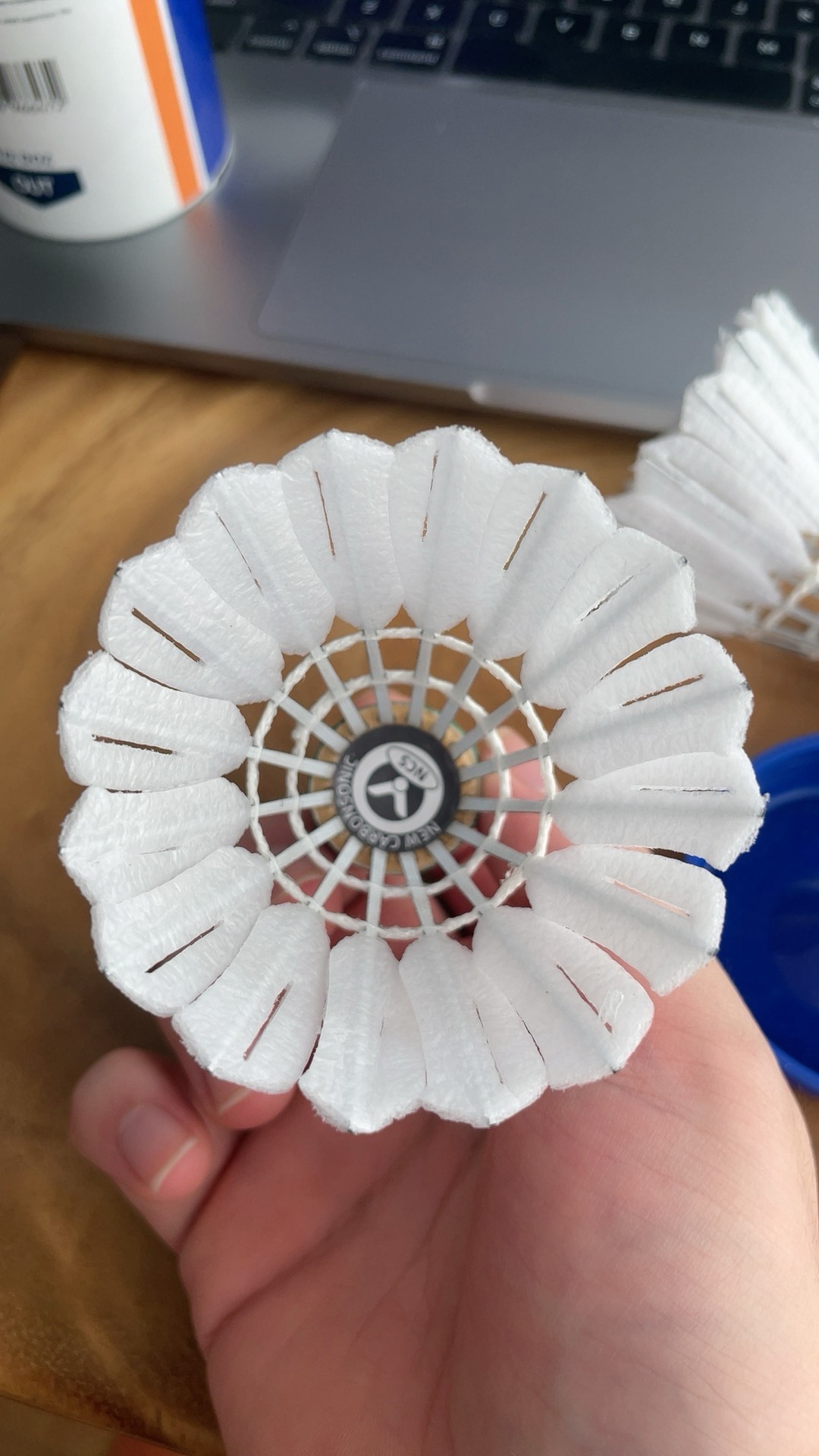 但尊重裁判 但尊重裁判