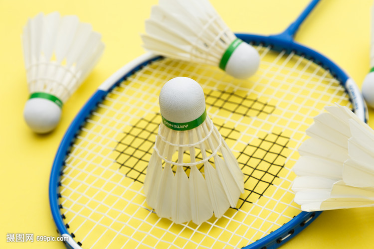 福纳尔斯不 福纳尔斯不