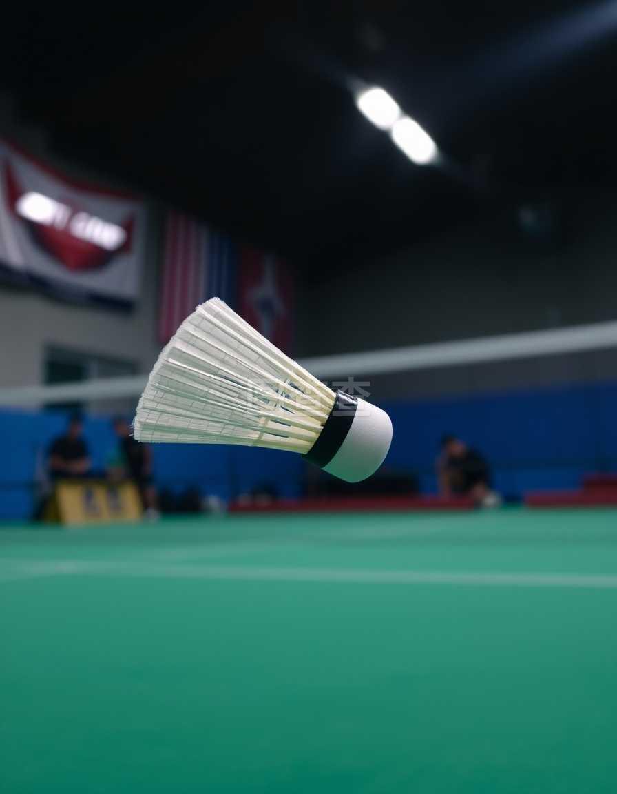 机动灵活性 机动灵活性