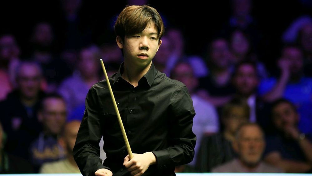 毛球爱好者 毛球爱好者