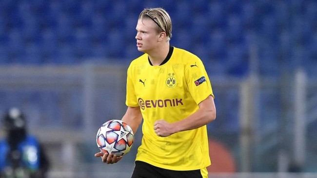 以背掩下顺 以背掩下顺